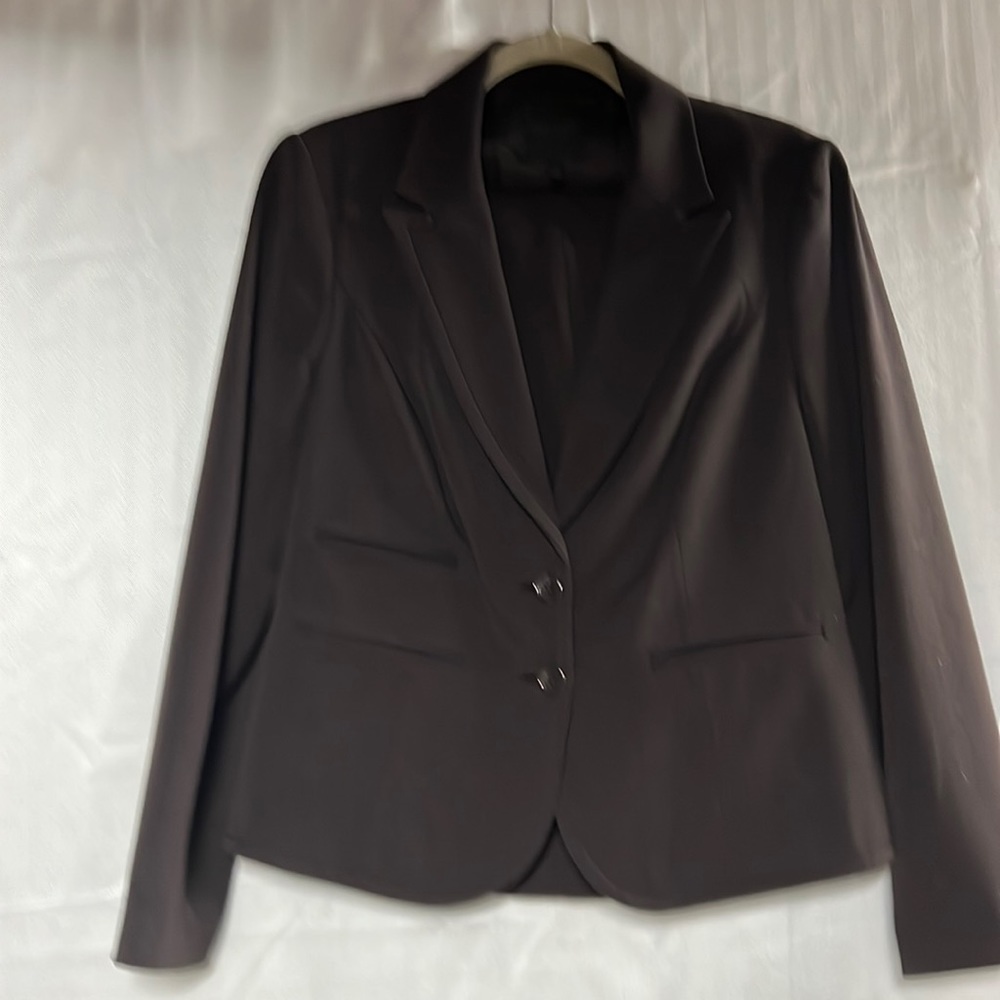 The Limited Dark Brown Blazer size 12 WITH matching pant, size 10R, 32” inseam